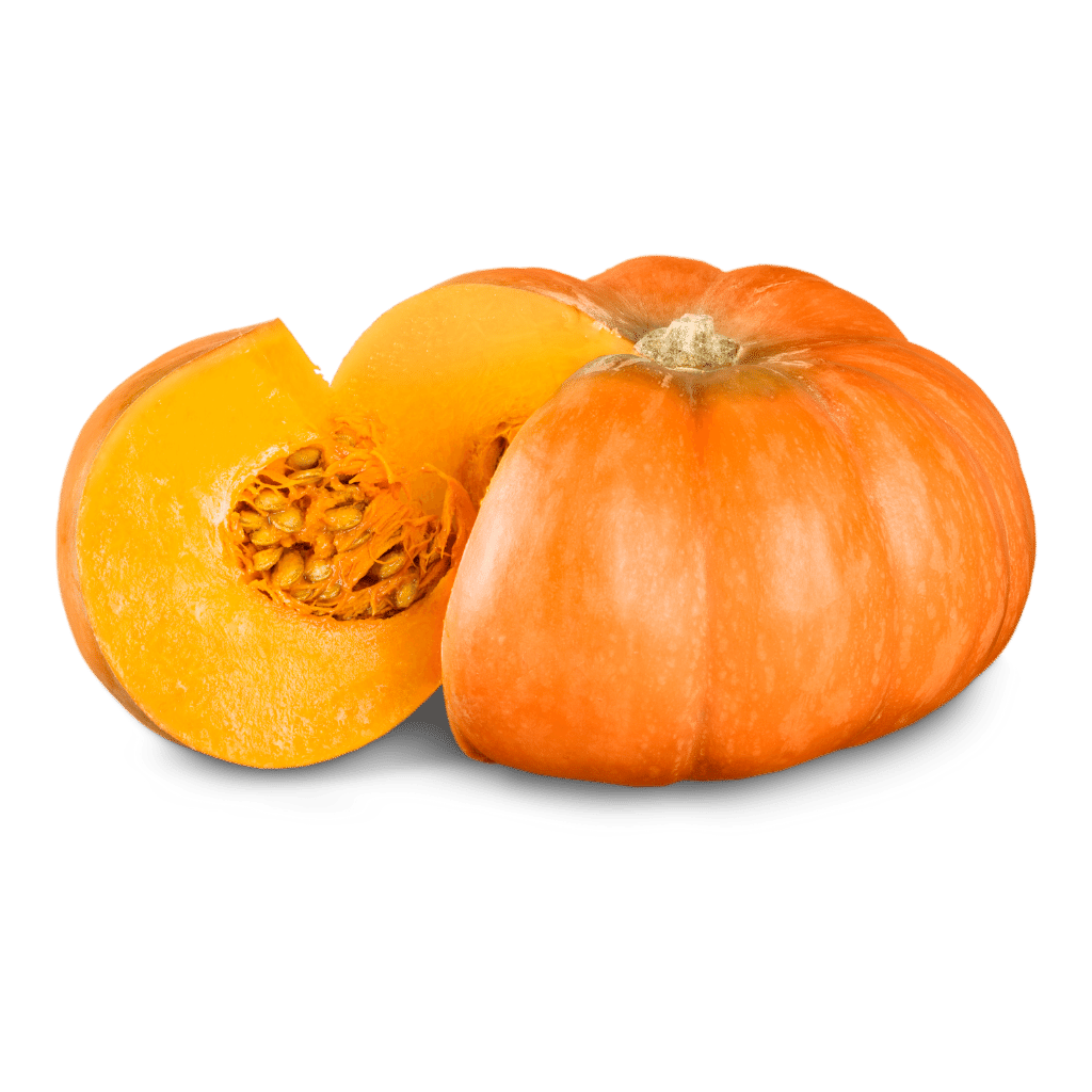 Zucca €1,50/kg