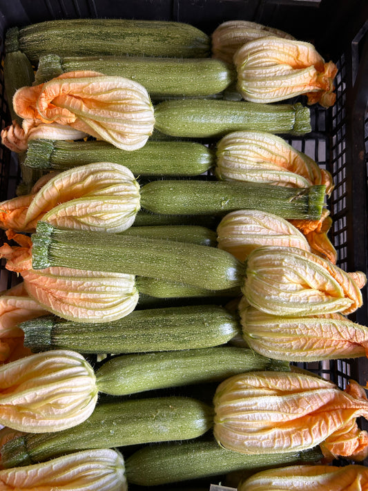 Zucchini 2,90 €/kg