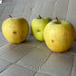 Seconda scelta: Mela golden del consorzio mela Val Varaita 0,80 €/kg -promozione 3 kg a 2,10€