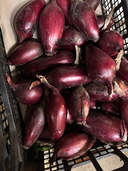 cipolla rossa Tropea 3,80€/kg