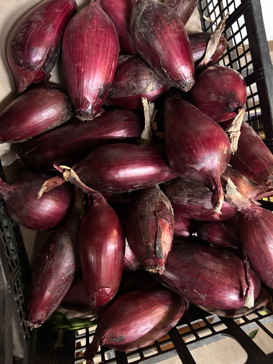 cipolla rossa Tropea 3,80€/kg