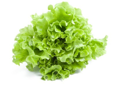 INSALATA VERDE 3,60 €/KG (251)