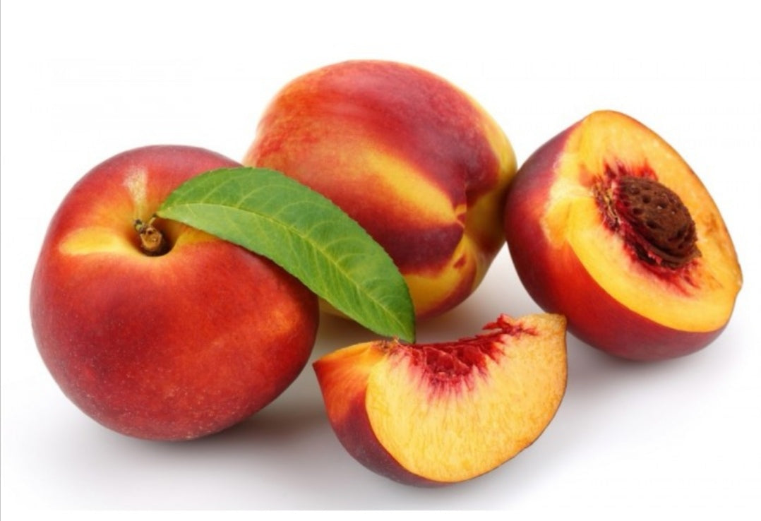 pesche wespesa spesa online